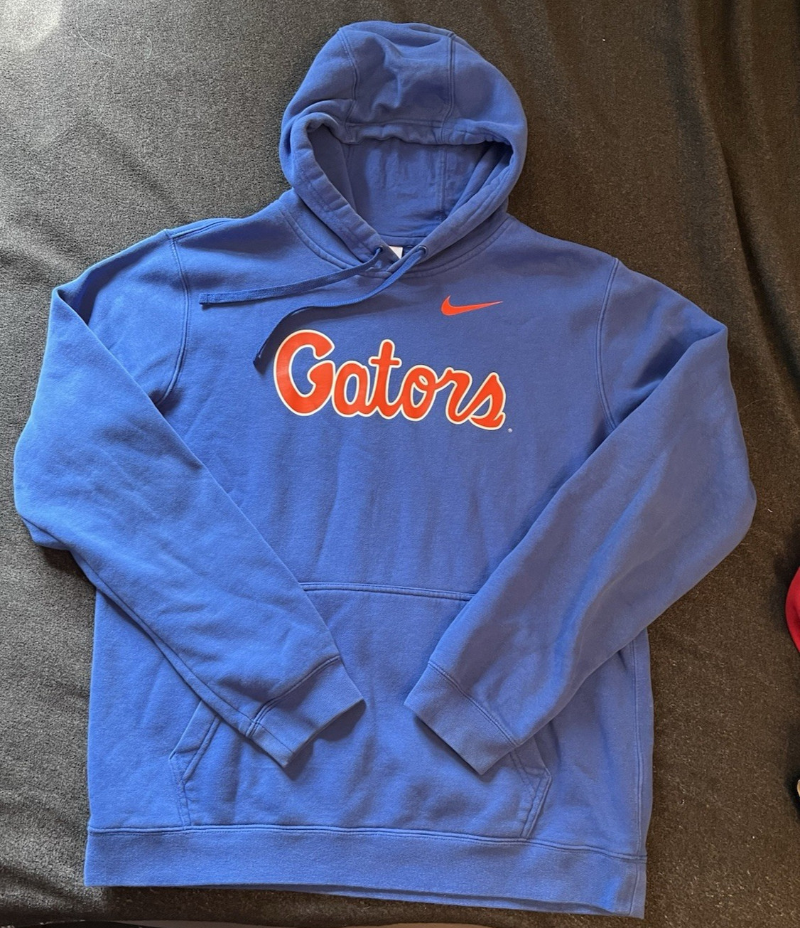 Vtg Florida Gators Sweatshirt Mens Large Blue Football Nike Pullover Hoodie Y2K