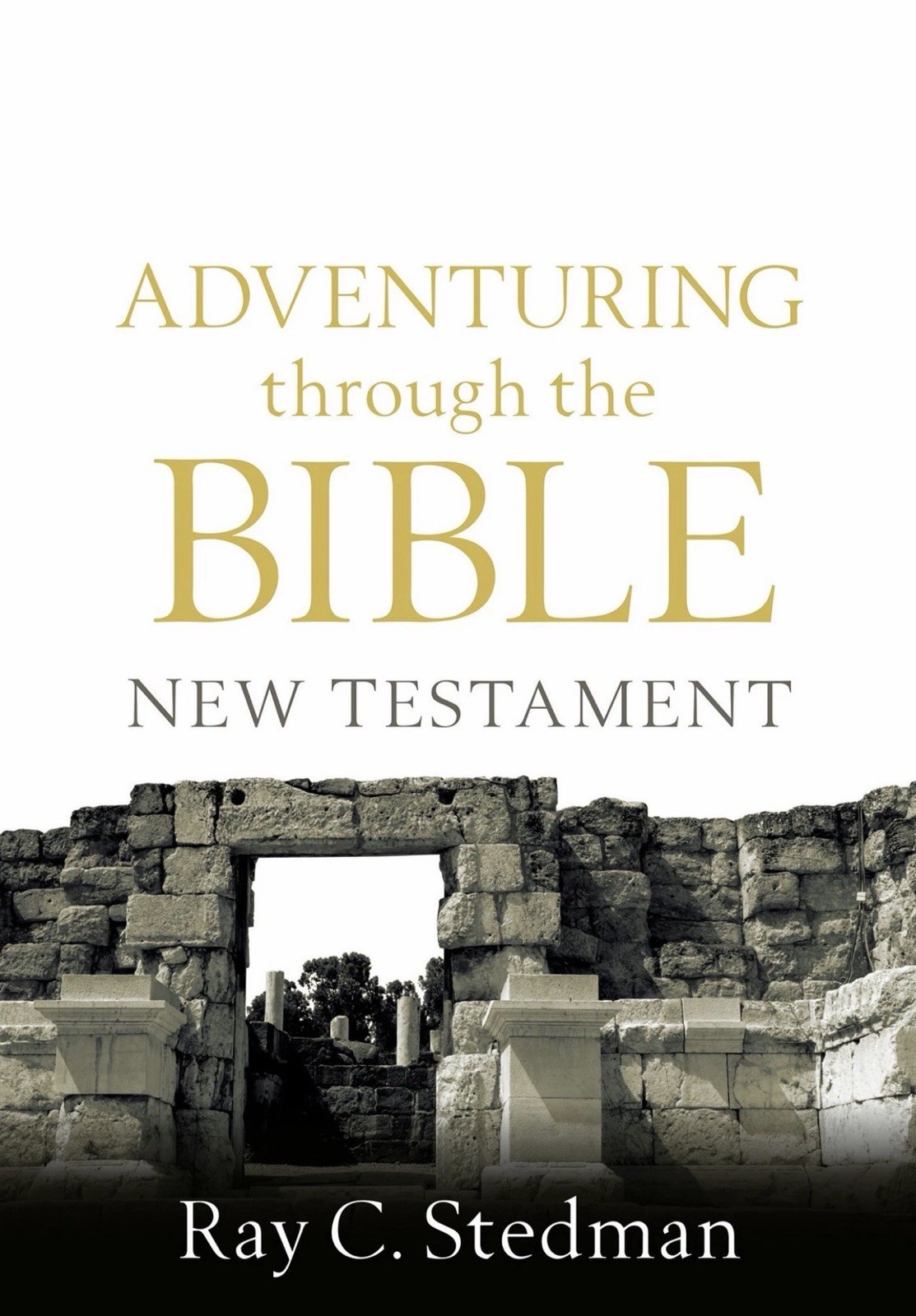 Adventuring through the Bible: New Testament