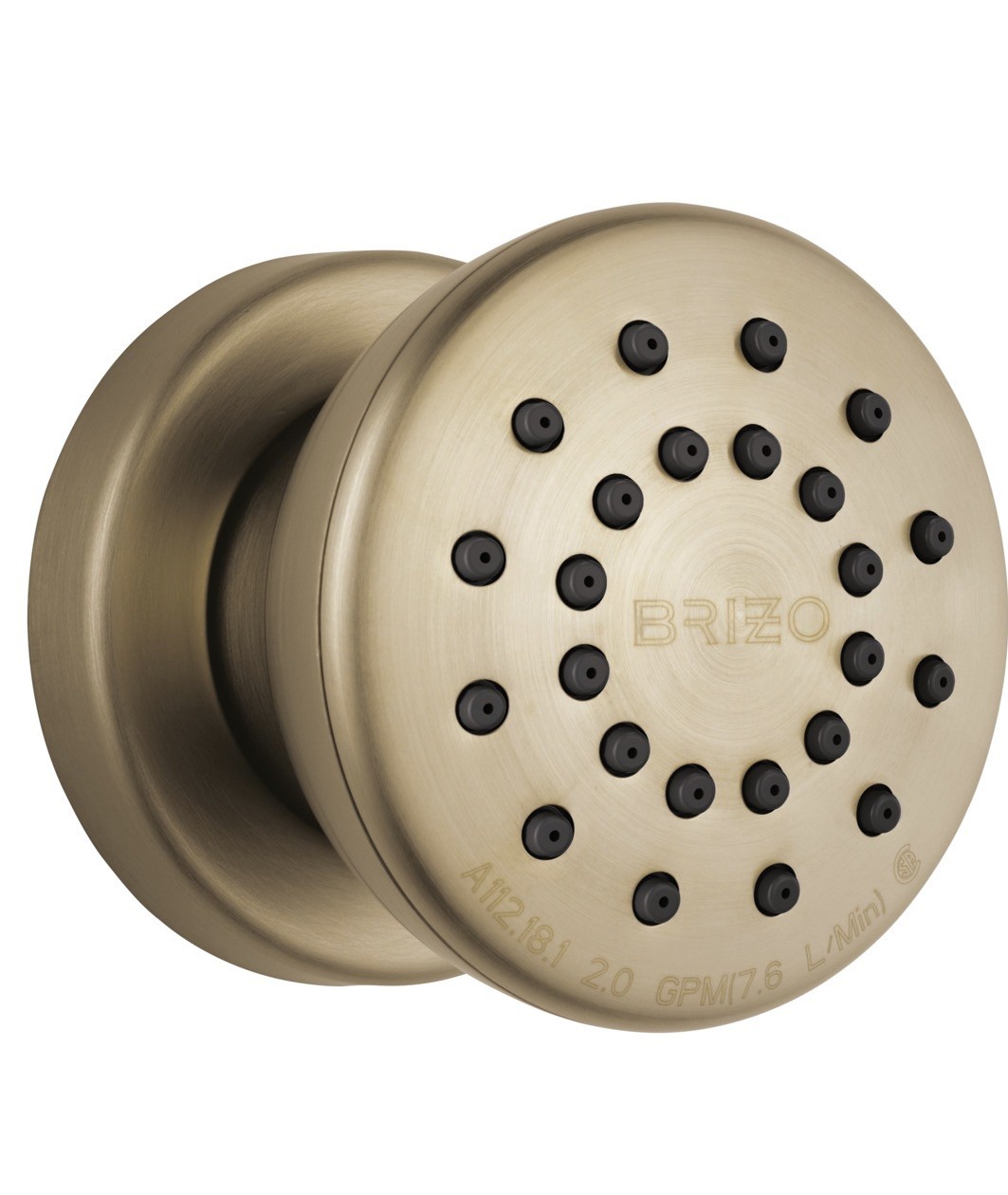Brizo Essential 84110-GL Body Spray,Luxe Gold *NEW* Brizo Essential 84110-GL Body Spray,Luxe Gold *NEW*