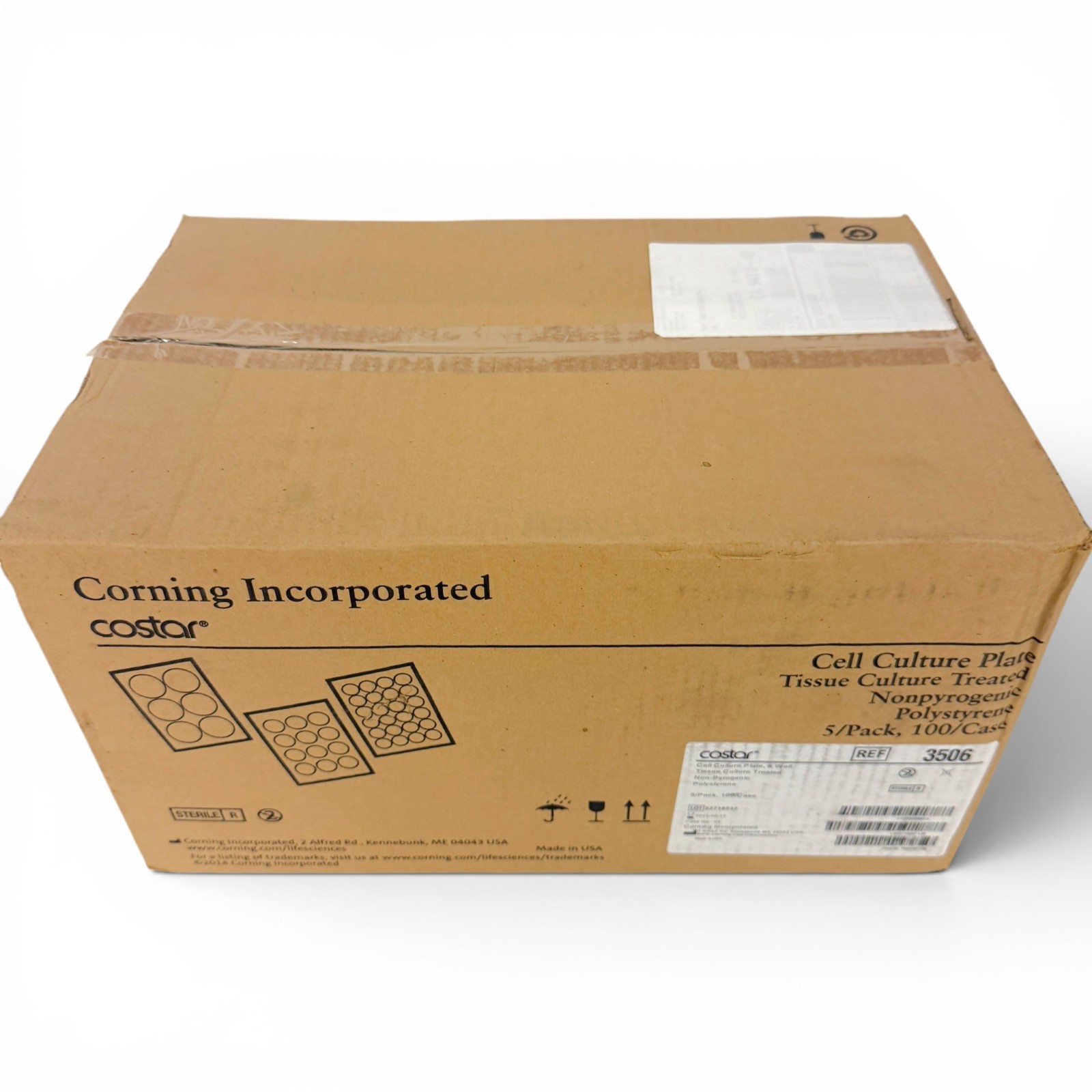 Corning Costar 3506 6-Well Cell Culture Plate TC-Treated - Case of 100