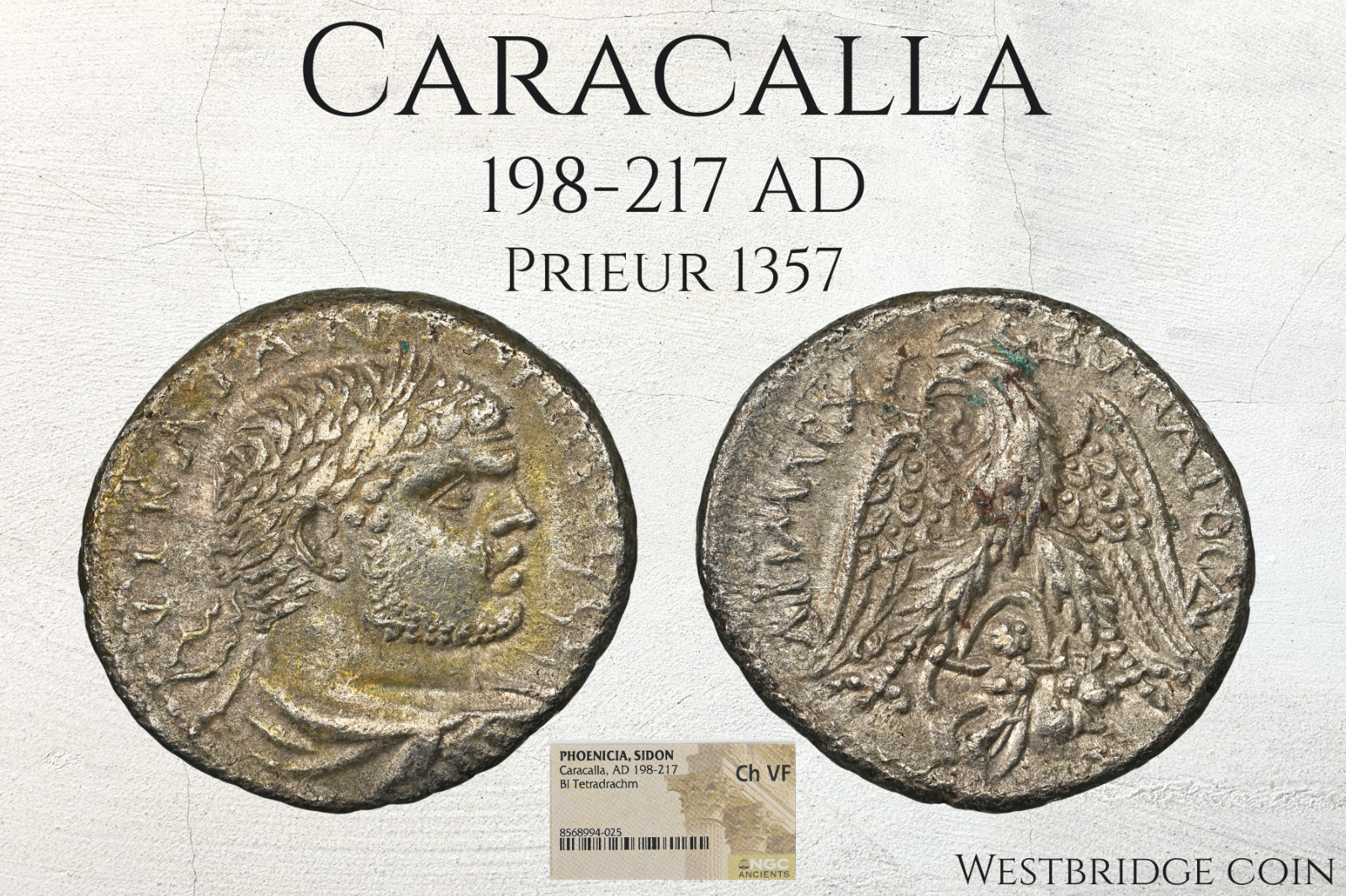 Caracalla | Sidon Phoenicia | AD 215-217 | NGC Choice VF | Tetradrachm