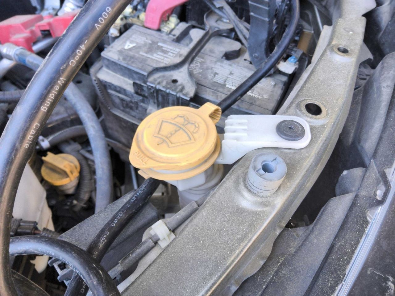 Wash Reservoir Fits 19-25 ASCENT 766282