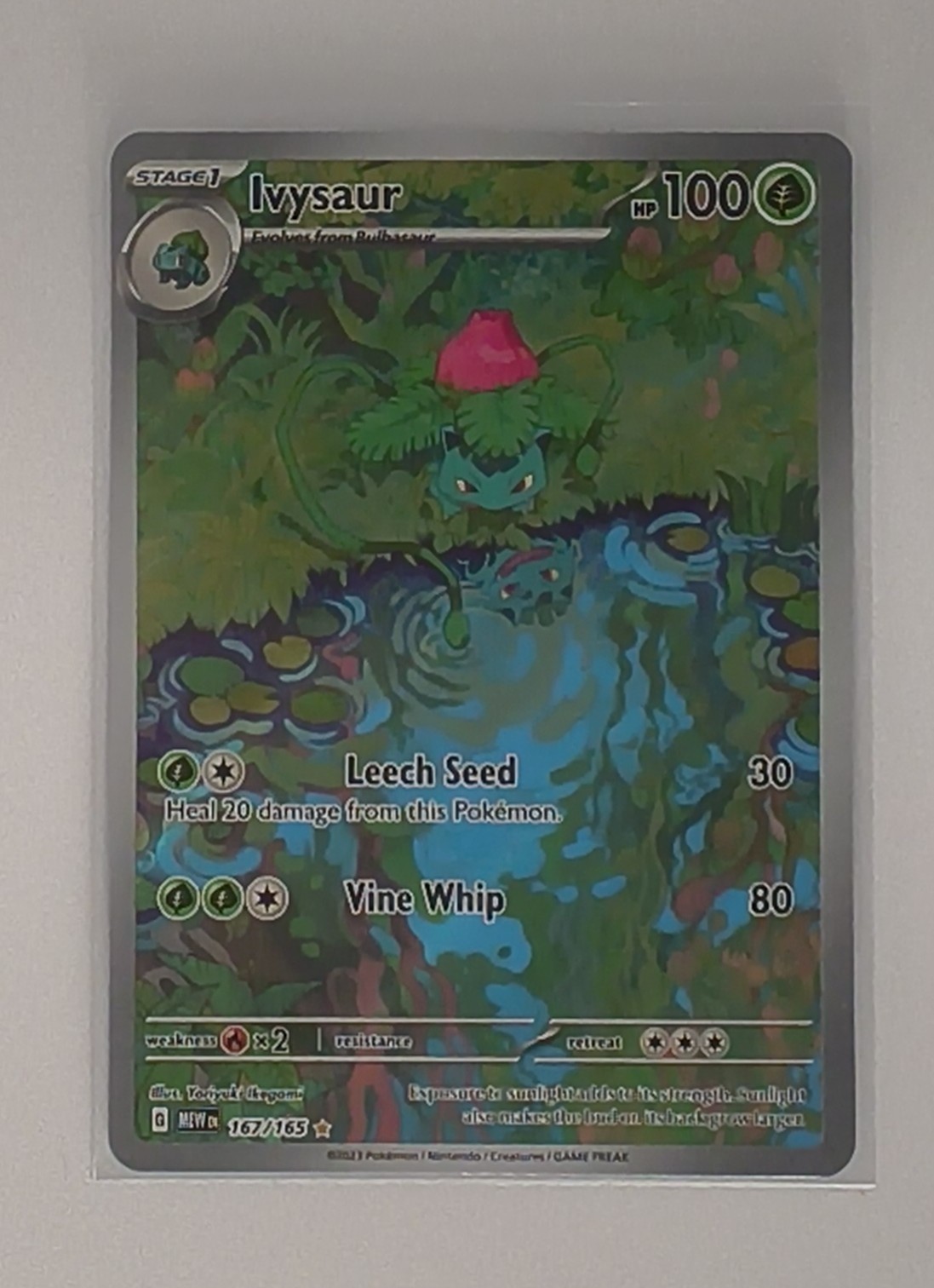 The Pokémon Company Pokemon TCG Ivysaur 167/165 SV 151 Illustration Rare Holo EN