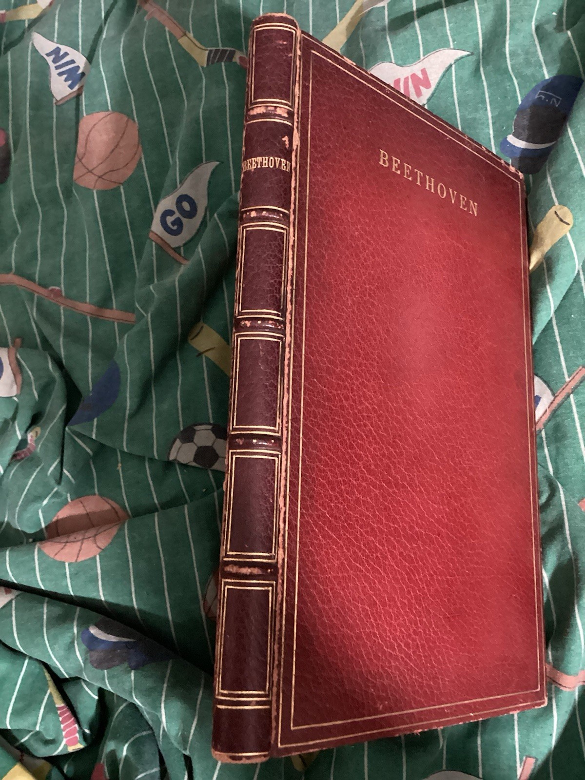 Decorative Leather Bound Book. “Beethoven” by Dr. S. Solomon. 1922. Antique 