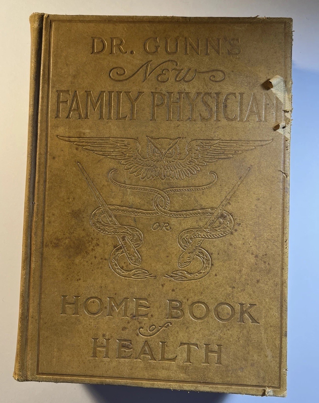 New  Family Physician- Dr. Gunn 1913  Collectible Antiquarian Book Medicine OOAK
