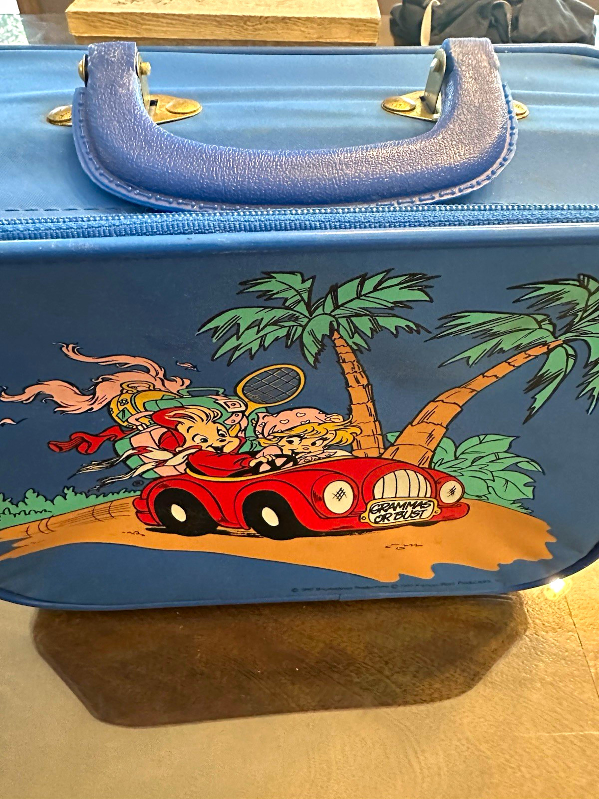 Vintage 1990 Alvin & The Chipmunks Brittany “Grammas or Bust” Kids Suitcase Blue