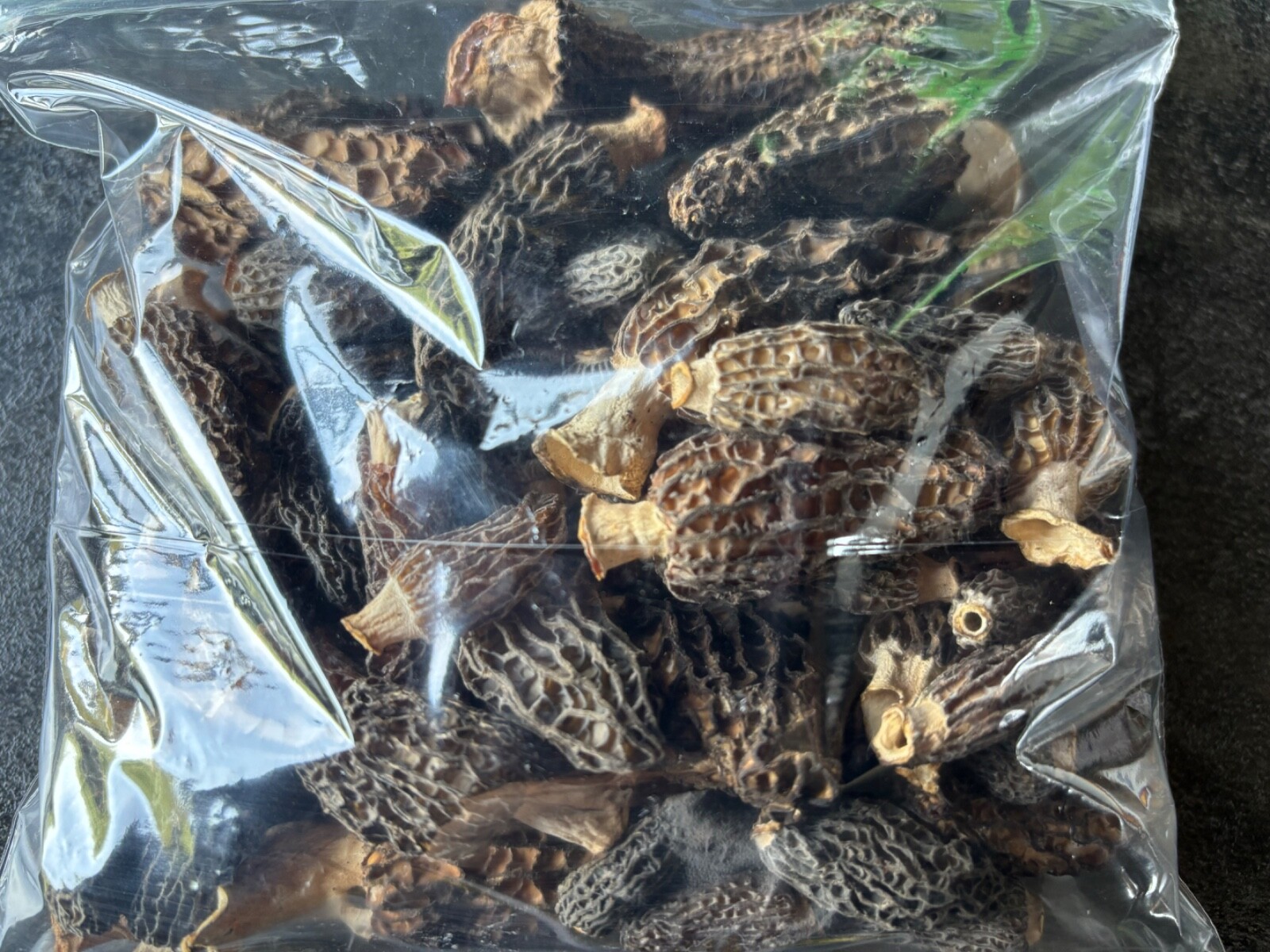 5 oz Dried Wild Morel Mushrooms Oregon 2025