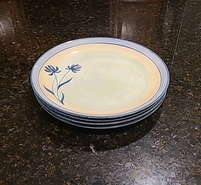 SET OF 4 Pier 1 TRANQUILITY Earthenware 11.25\