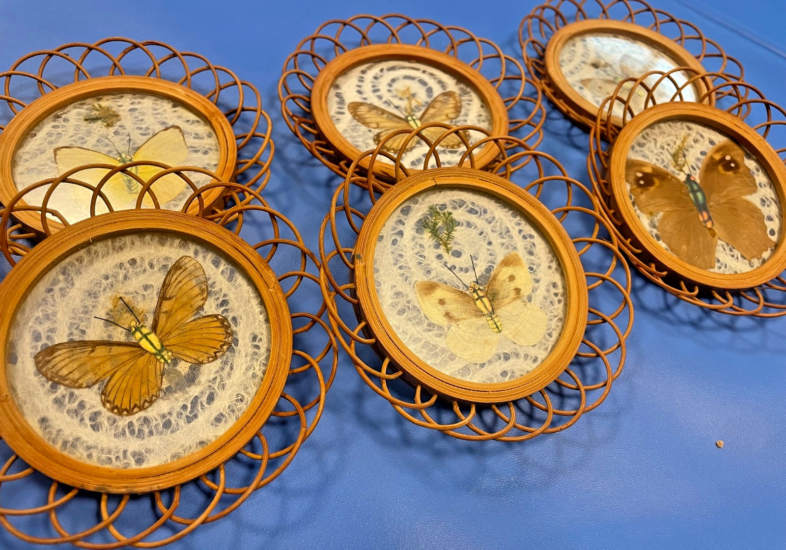 Vintage 1970s Preserved Butterfly Rattan & Glass Coasters Set 6