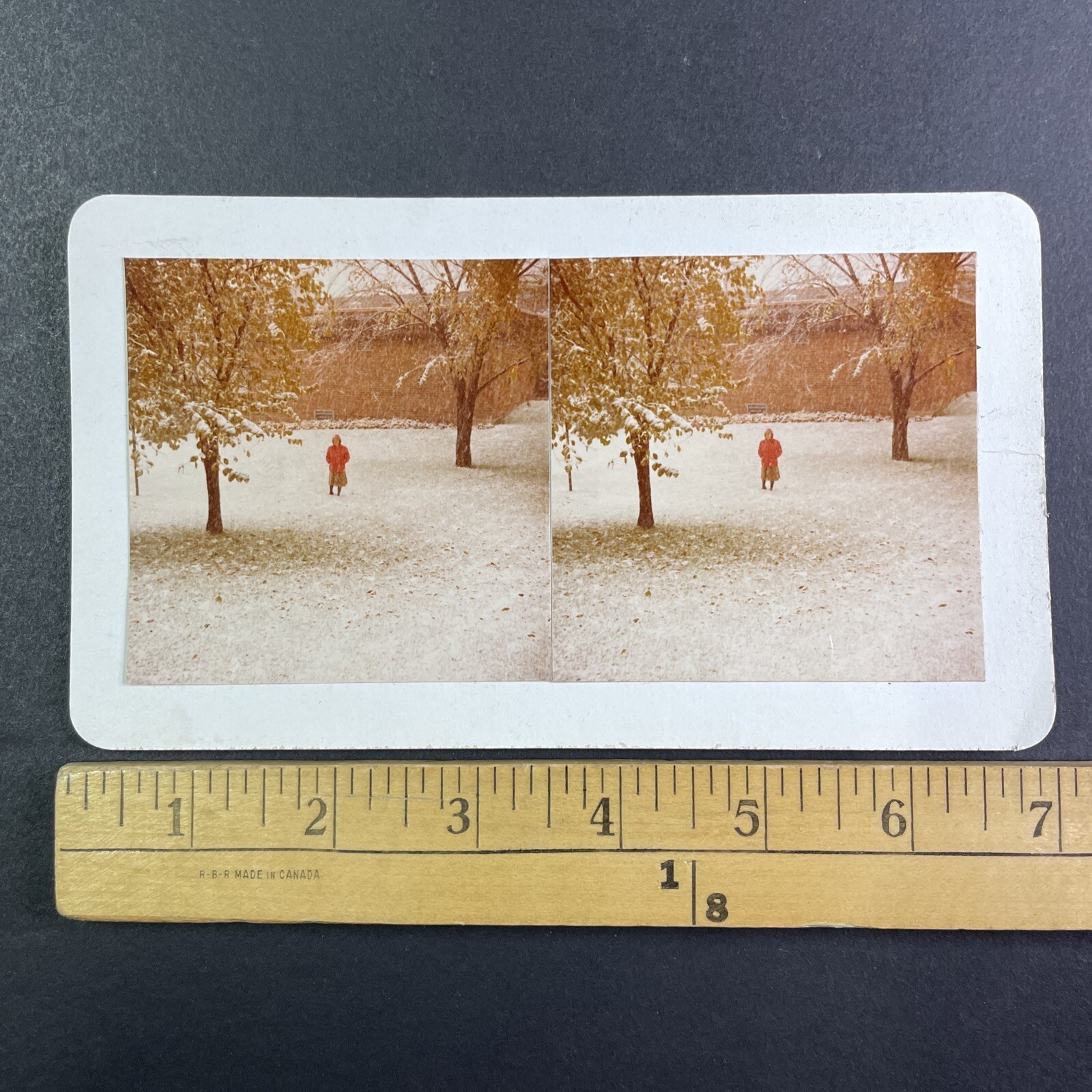Early Snow West Saint Paul Minnesota Stereoview Walter N. Trenerry 1977 Color