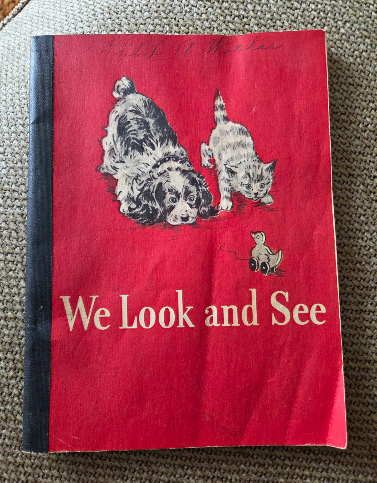 We Look and See 1946. By William S Gray. Scott, Foreman And Company, Softcover