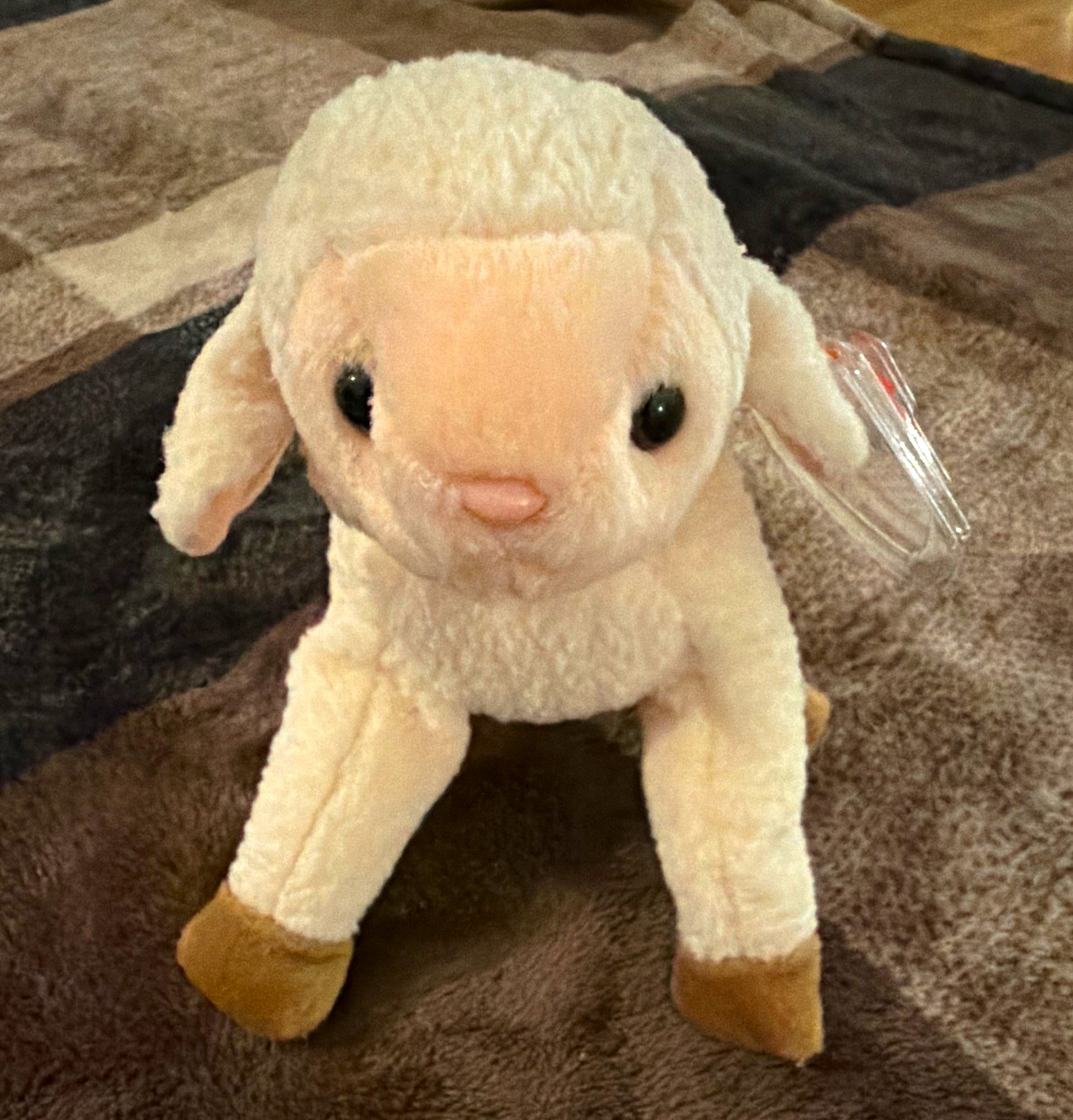 RARE Ty Beanie Babies Ewey Lamb Sheep Plush Beanbag 1998 Vintage MWMT RARE Ty Beanie Babies Ewey Lamb Sheep Plush Beanbag 1998 Vintage MWMT