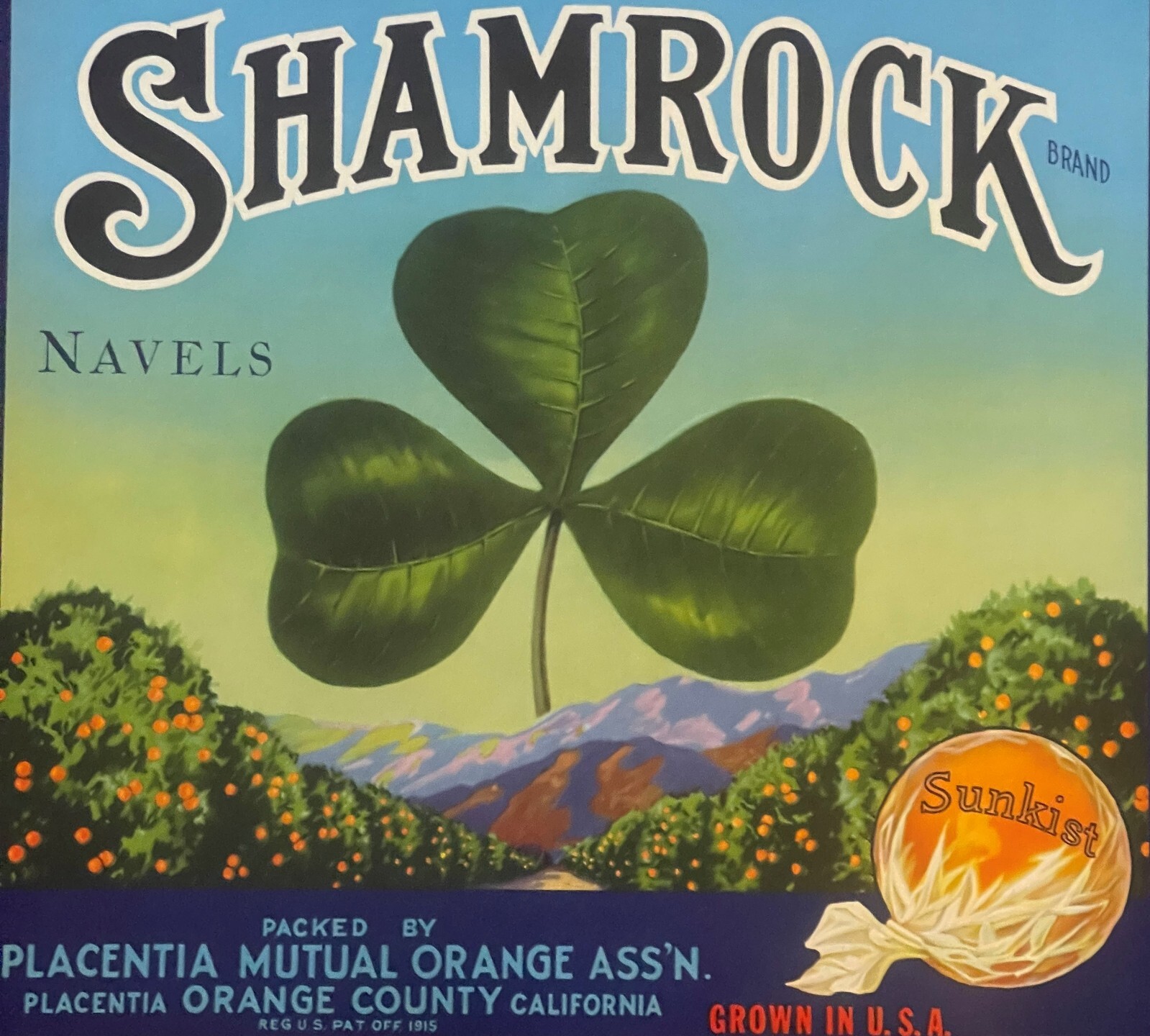 Antique 1930s Shamrock Sunkist Crate Label, Placentia, Orange County, CA