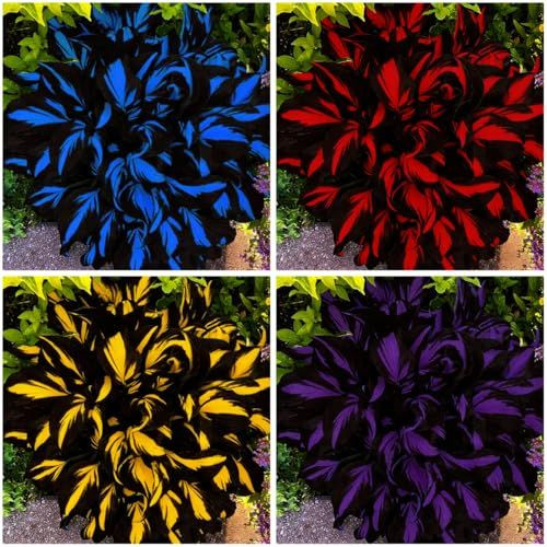 Mixed Hosta Seeds Collection(300+ Seeds),Variegated Foliage Shade