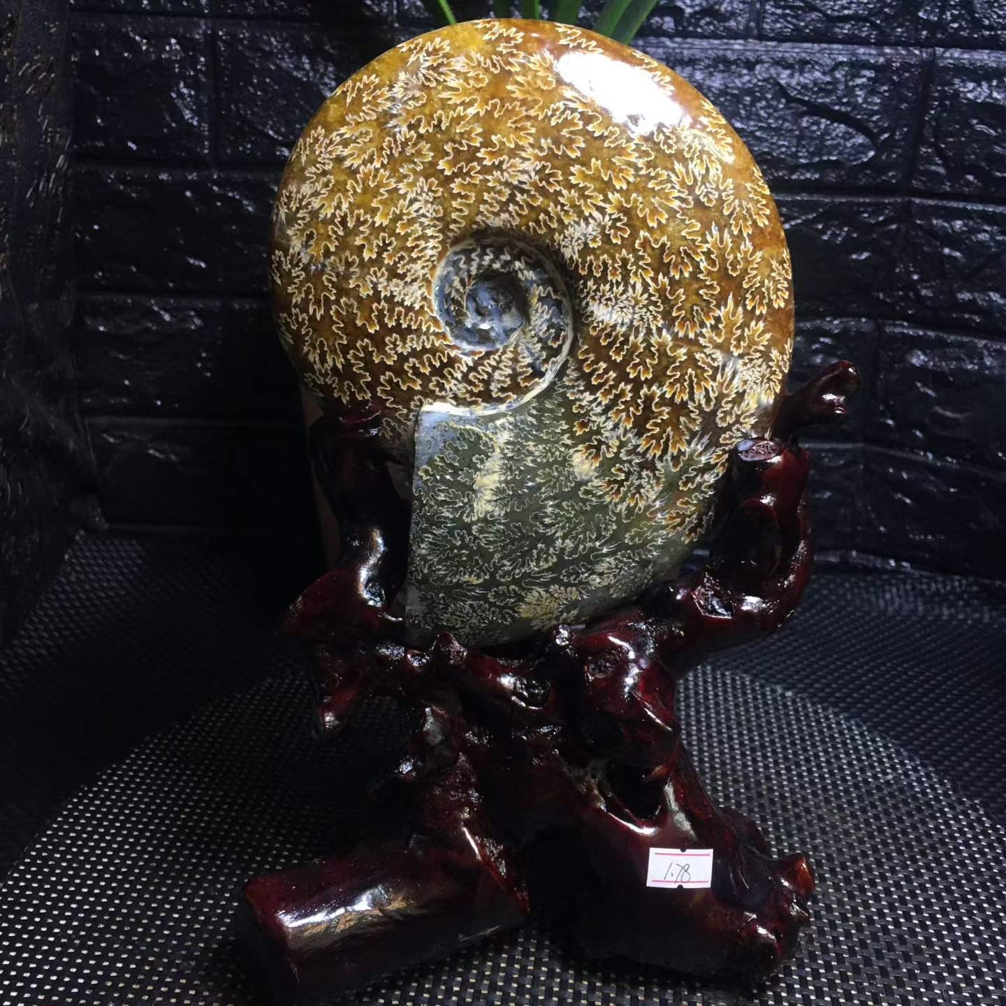 3.92LB Natural ammonite fossil conch Crystal specimen Reiki healing decor+Stand