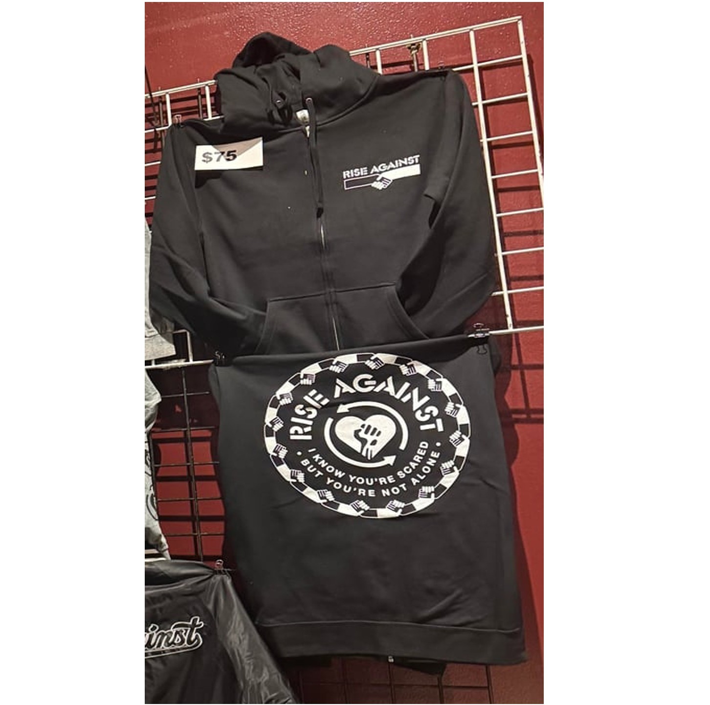 Rise Against PICS OF MERCH TABLE FOR 2026 TOUR Hoodie 2 sides