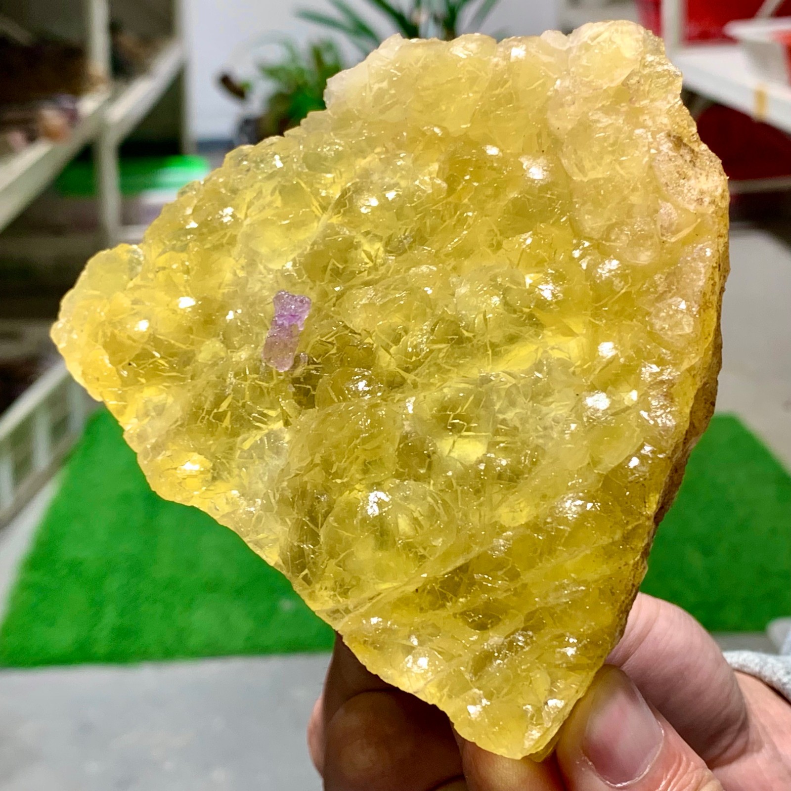 1.16LB Rare purple yellow cubic fluorite mineral crystal sample/Zhejiang, China