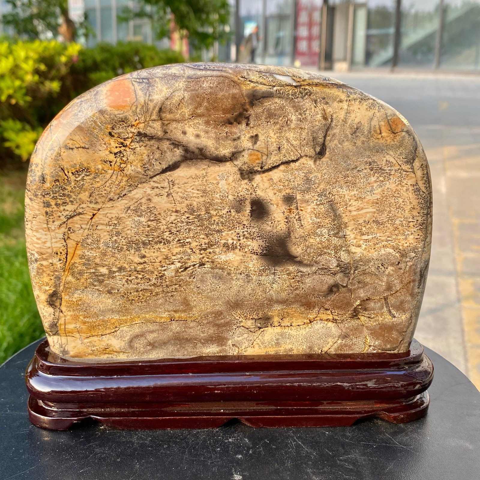 3.37LB Beautiful Natural Chinese Dendritic Limestone Picture Stone Guohua - Rare