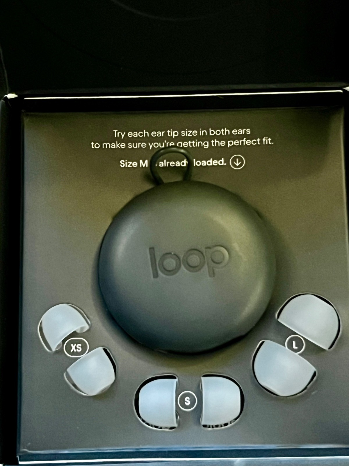 loop earplugs - Experience 2 - Silver - Noise Reduction Rating- 12 Decibels