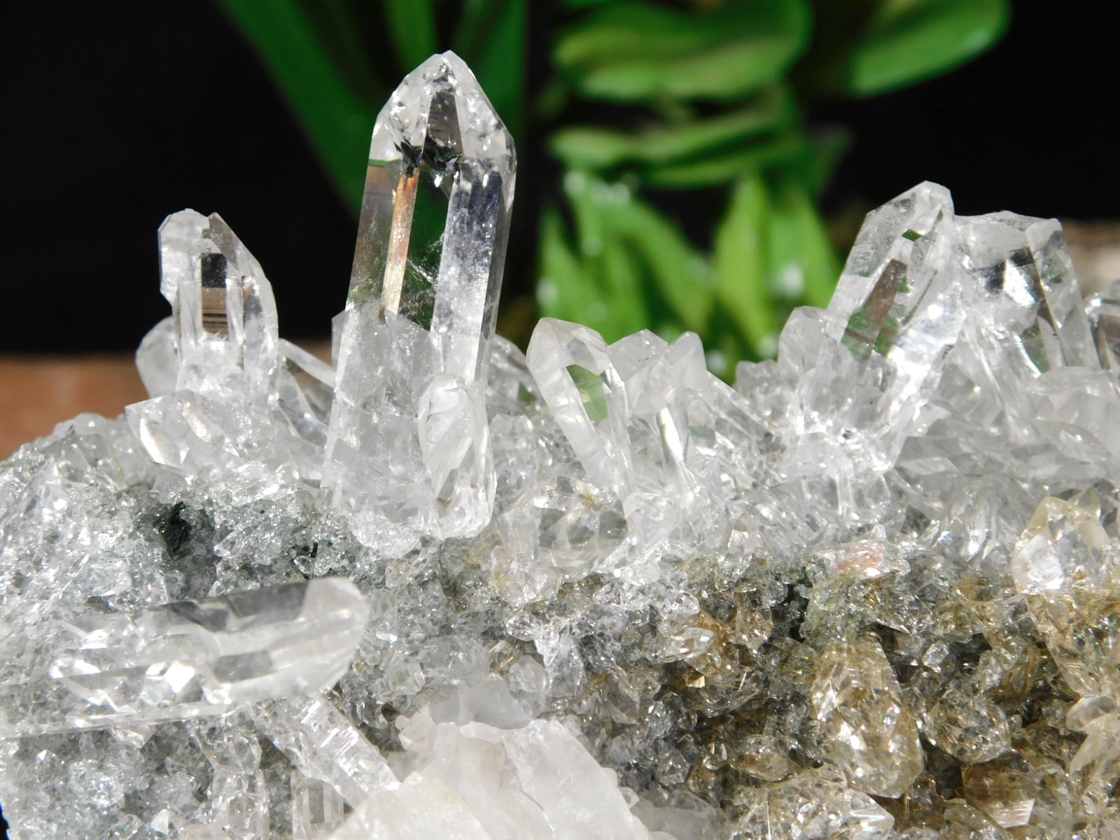 wOw Larger Very Translucent AAA HIMALAYAN Quartz Crystal Cluster 808gr