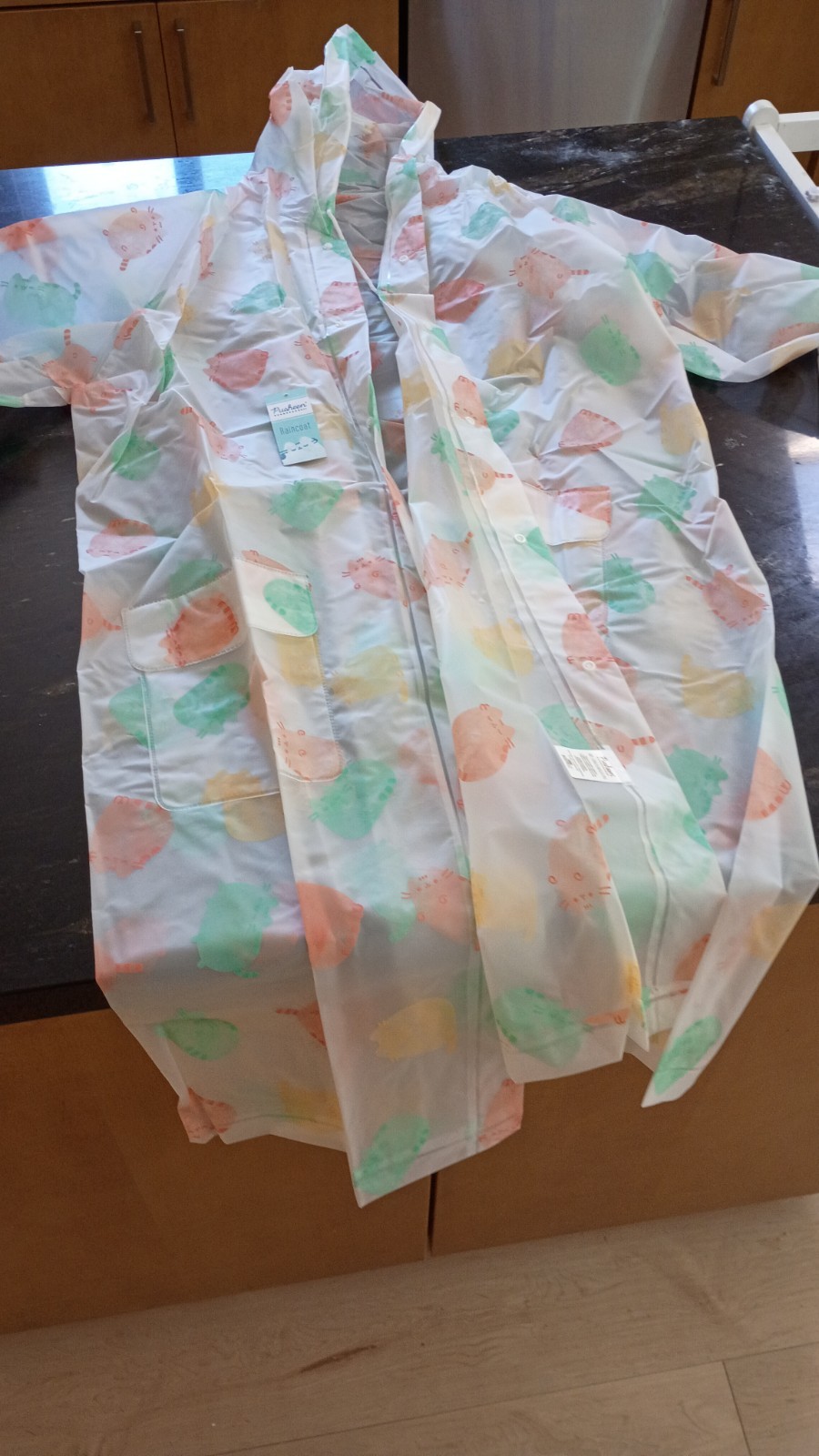 Pusheen Raincoat 