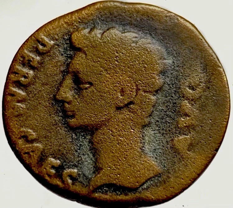 Emperor Augustus 14BC-10BC Ancient Roman Authentic Julia Traducta Coin Genuine