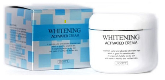 JIGOTT/Whitening Activated Cream 100g/White,Wrinkle/Korea Made/K-Beauty Holic