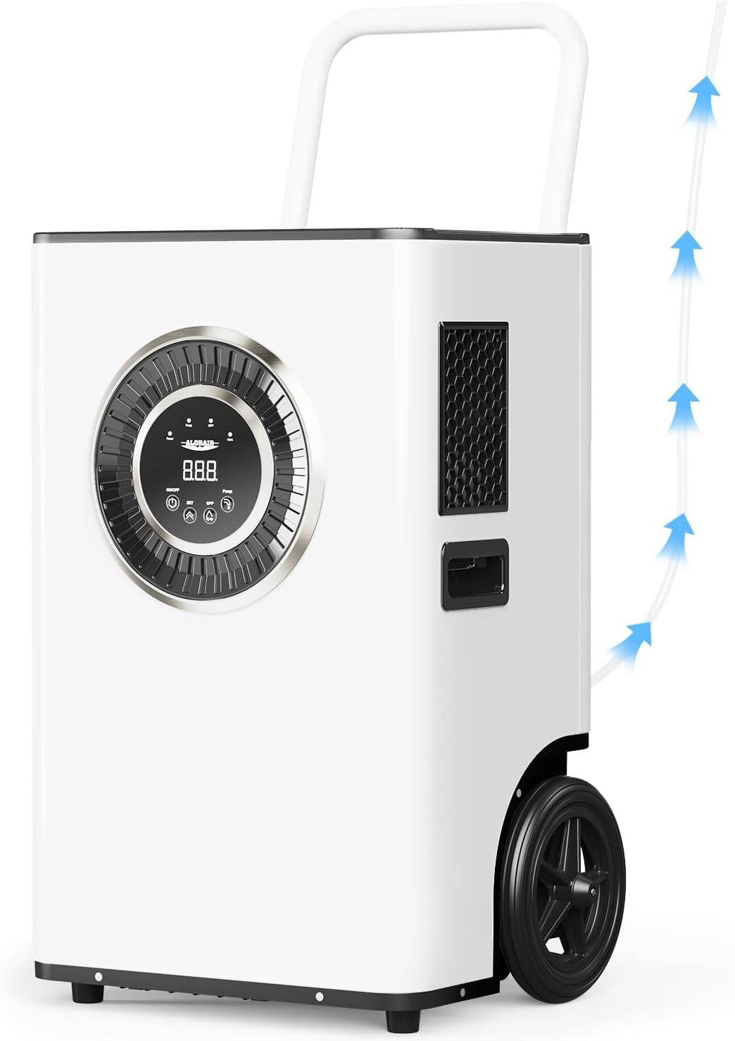 ALORAIR Sentinel Elite60X 145 Pt LGR Vertical Dehumidifier w/Pump Energy Saving