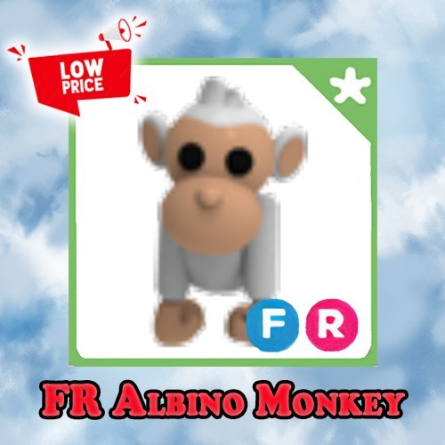 Popular Picks MFR / NFR - Collectible Trading Items