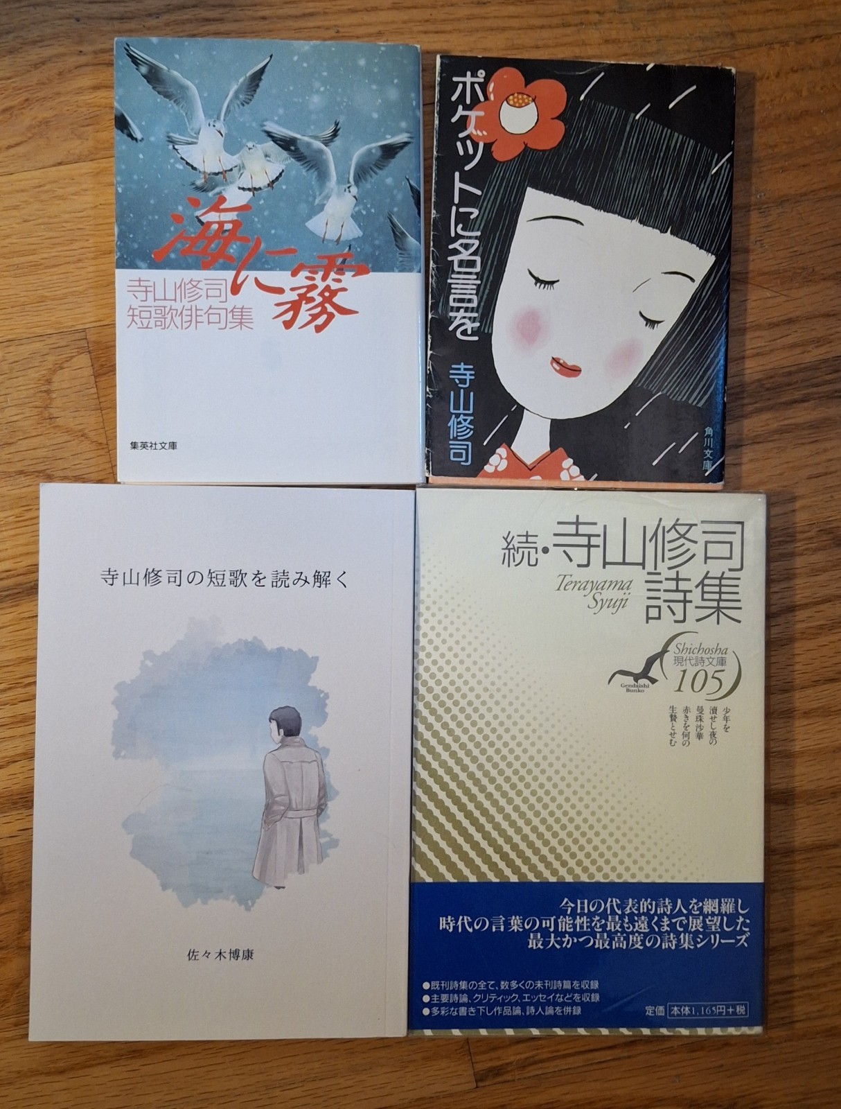 Shuji Terayama Book Lot Shuji Terayama Book Lot