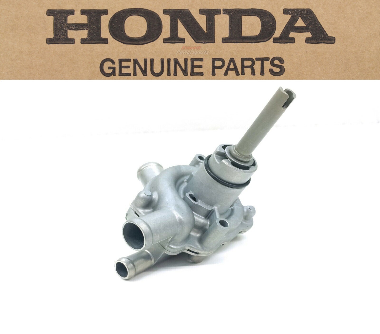 Water Pump Assembly CBR929RR/RE 00-01 CBR954RR 02-03 Genuine Honda #K220