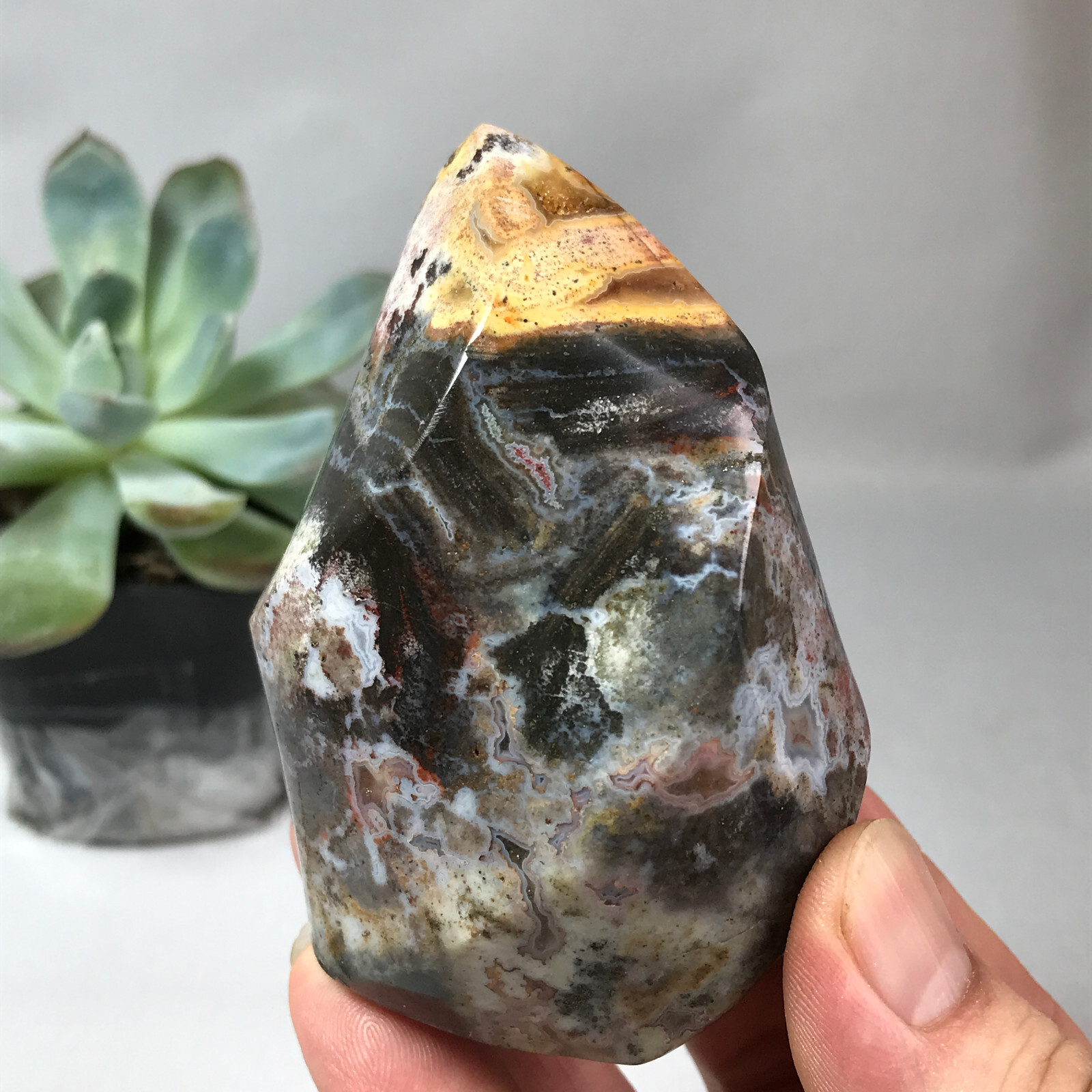 283g TOP MADAGASCAR NATURAL OCEAN JASPER QUARTZ CRYSTAL Freeform The torch g6616