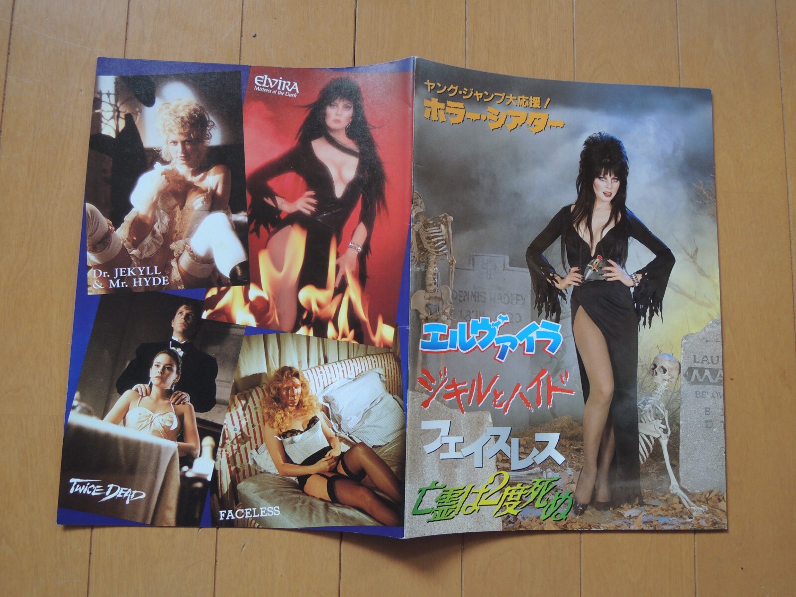 ELVIRA : MISTRESS OF THE DARK Japanese Movie Theater Program Cassandra Peterson