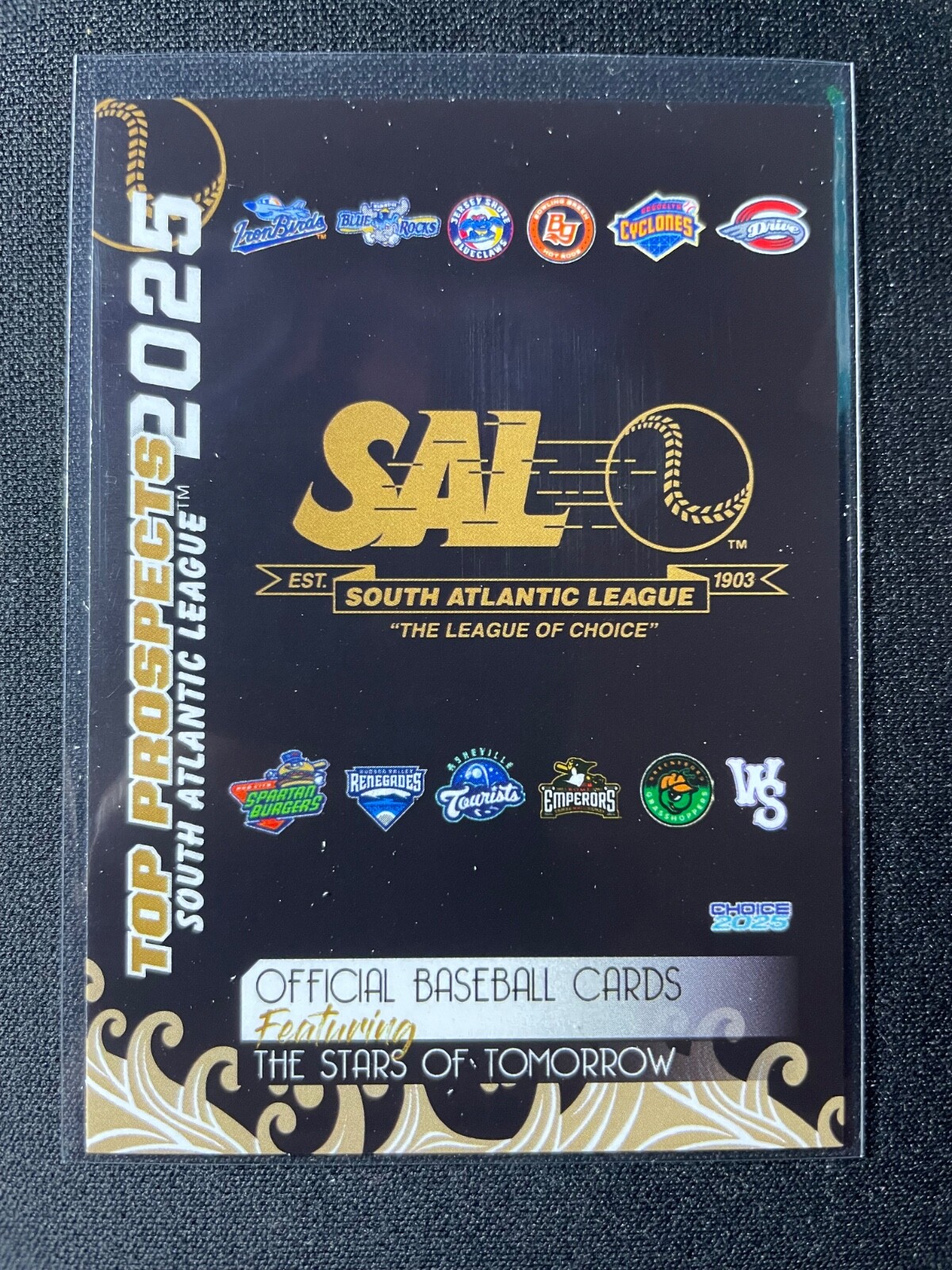 2025 Choice South Atlantic League Top Prospects Team Set You Pick 