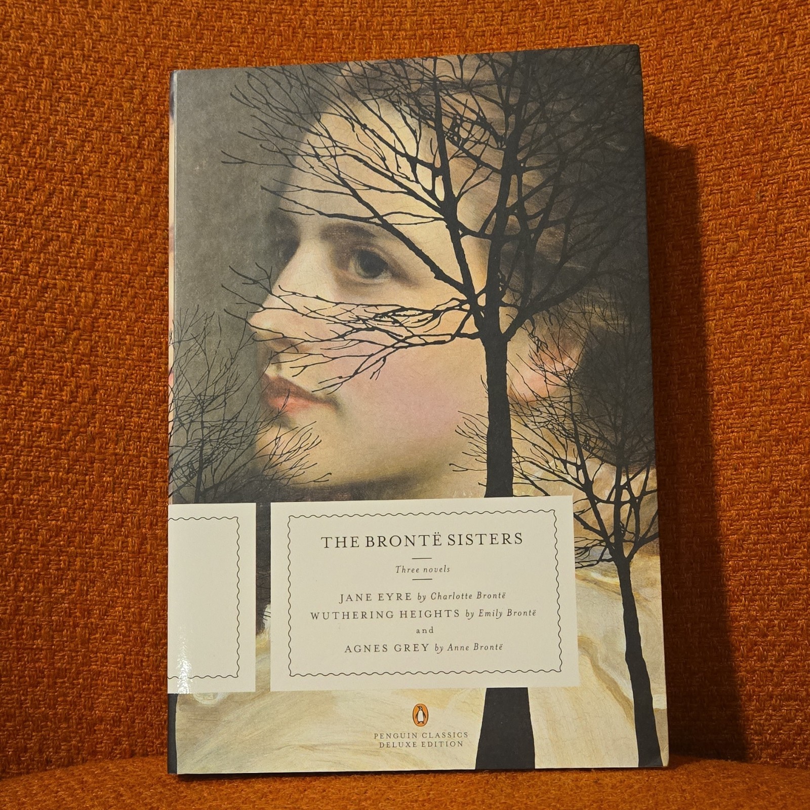The Bronte Sisters: Three Novels: Jane Eyre; Wuthering Heights; (0143105833)