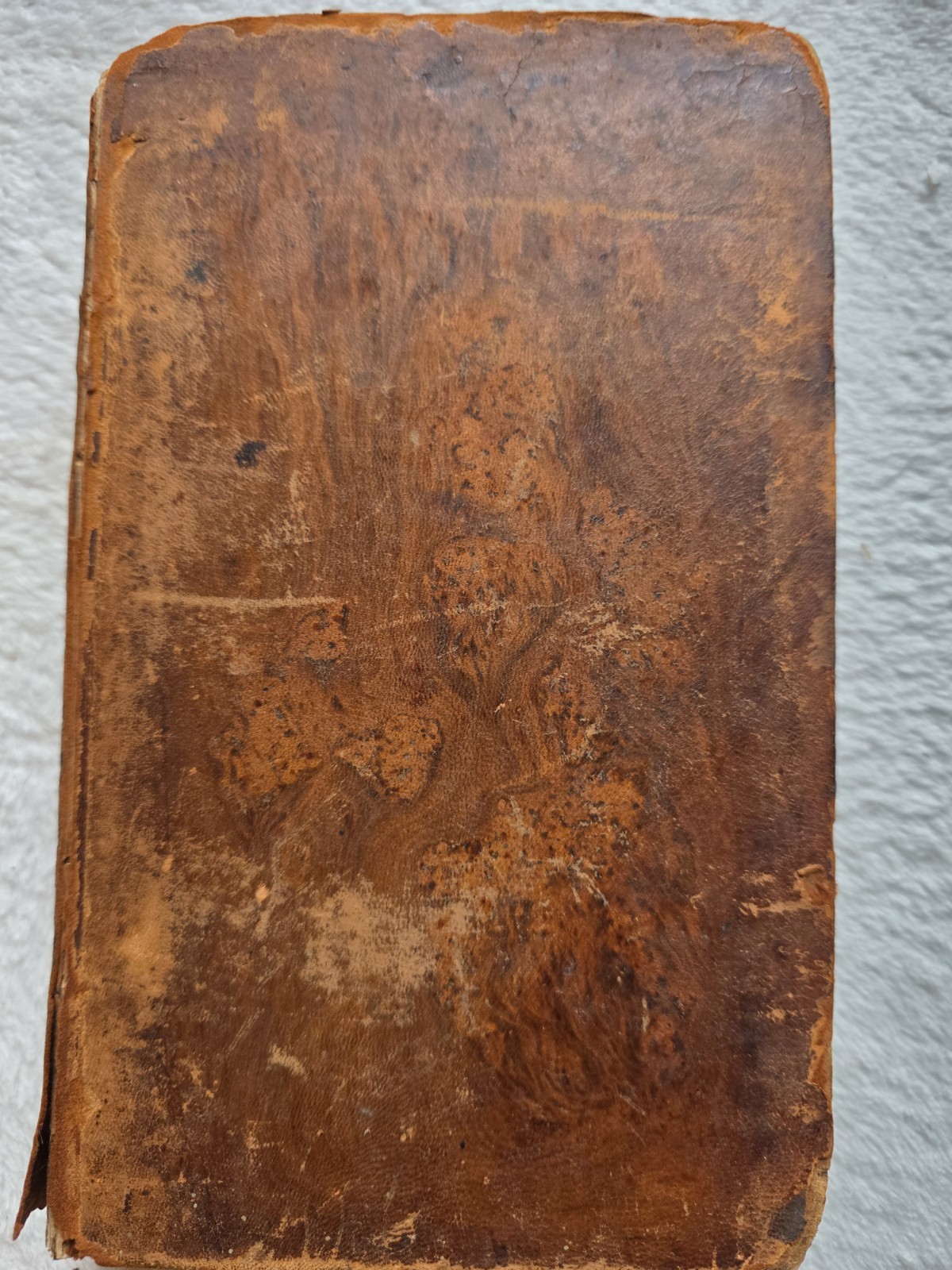 John Bell / ANATOMY AND PHYSIOLOGY OF THE HUMAN BODY/ Volume 2/ 1822 John Bell / ANATOMY AND PHYSIOLOGY OF THE HUMAN BODY/ Volume 2/ 1822