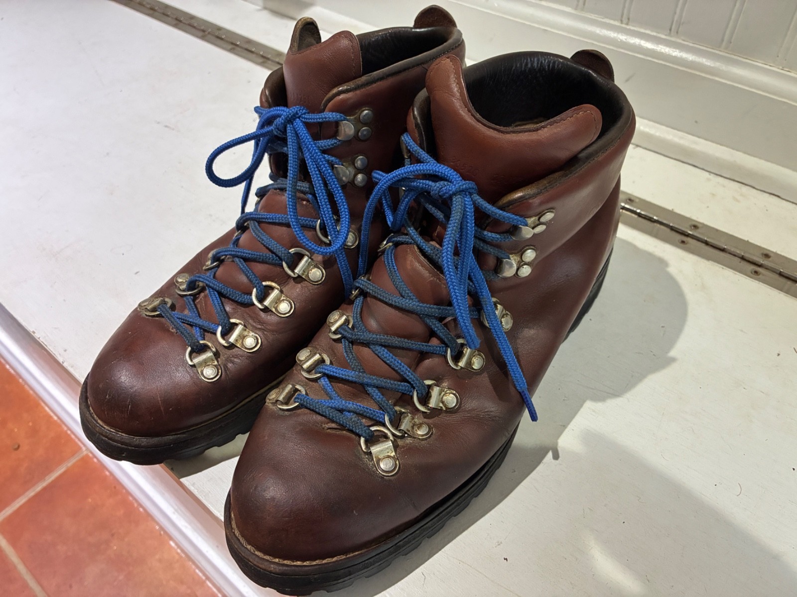 Mens Danner Mountain Light boots size 10 Gore Tex Full Leather