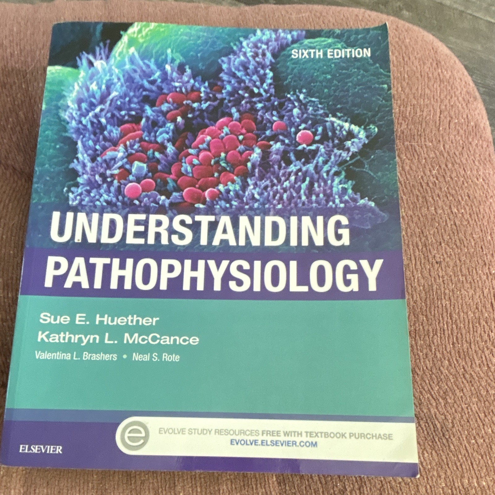 Elsevier Understanding Pathophysiology 6th Ed 2016 Paperback Huether McCance Elsevier Understanding Pathophysiology 6th Ed 2016 Paperback Huether McCance