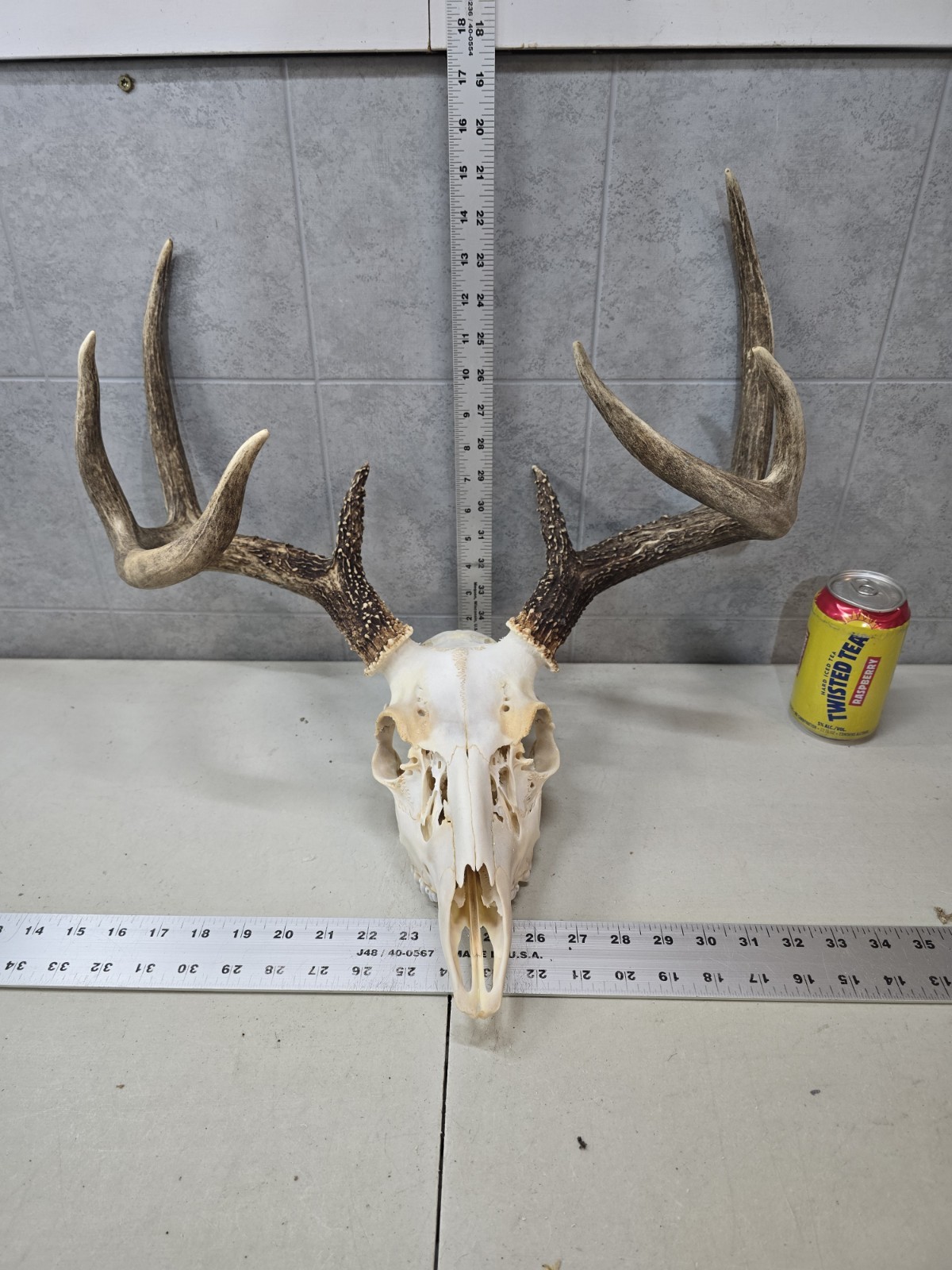 Wild 8 point 124-7