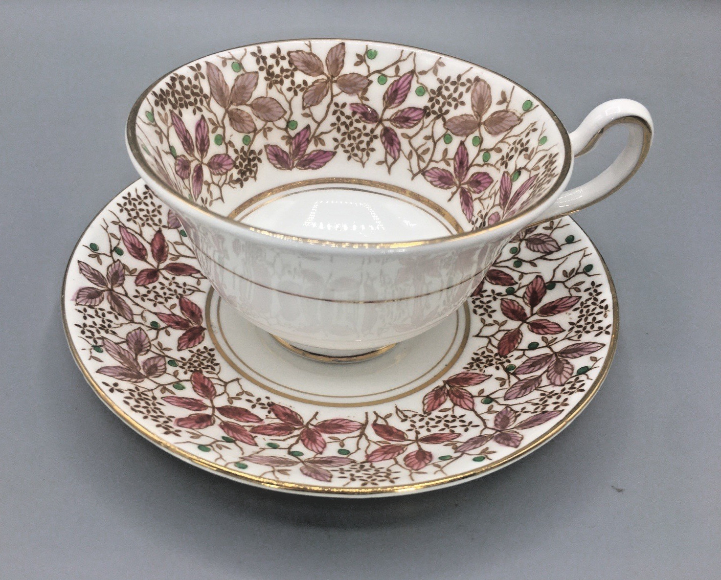 Rosina Teacup & Saucer Bone China 4902A Cranberry Leafy Vines Green Dots England