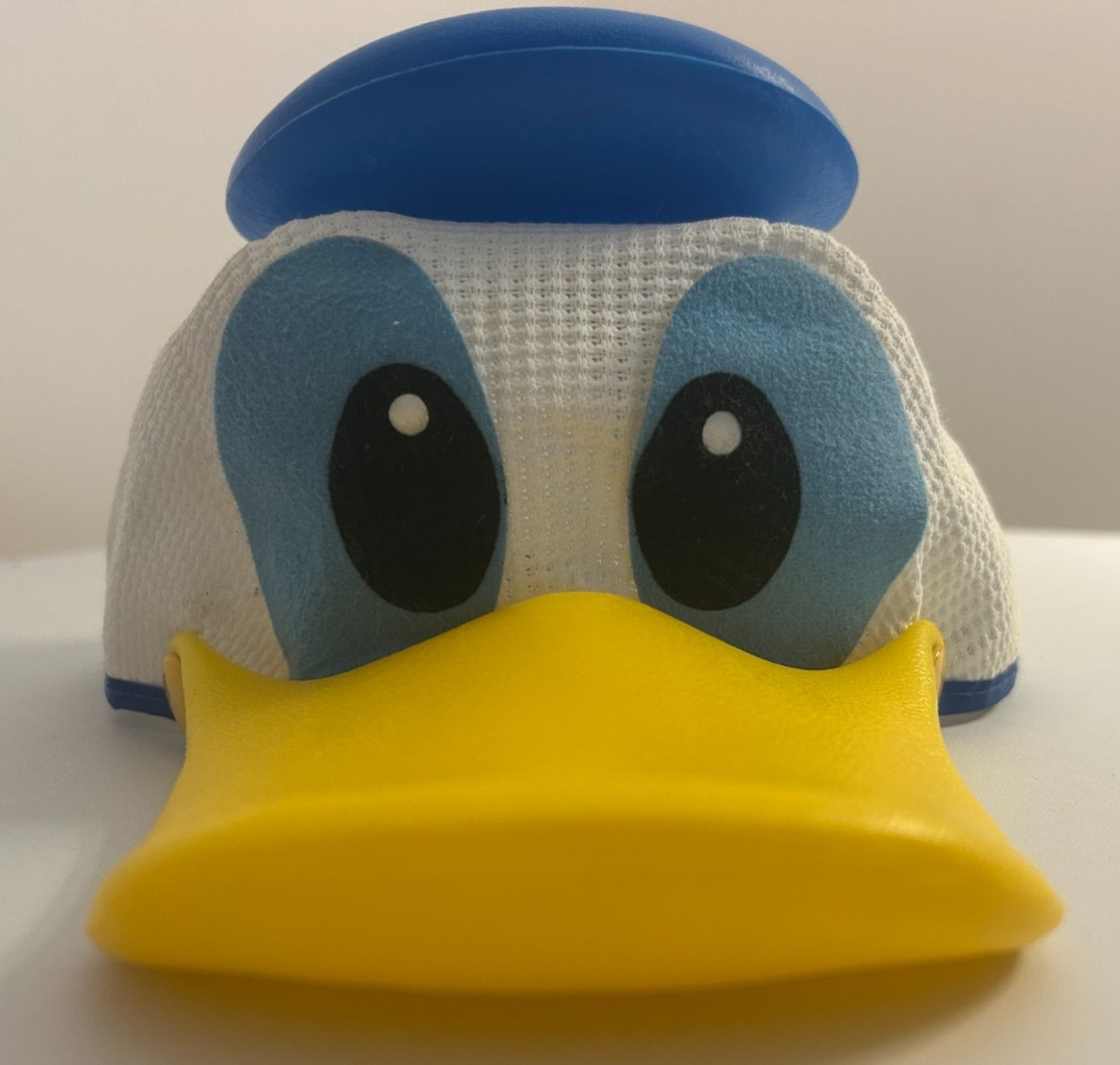 Vintage Donald Duck Squeaker Mesh Kids Hat Cap Walt Disney World Park Vintage Donald Duck Squeaker Mesh Kids Hat Cap Walt Disney World Park