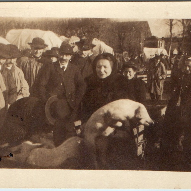 c1910s Woman Holding Cute Pig Livestock Market Farmers Wagon Snapshot Photo Vtg