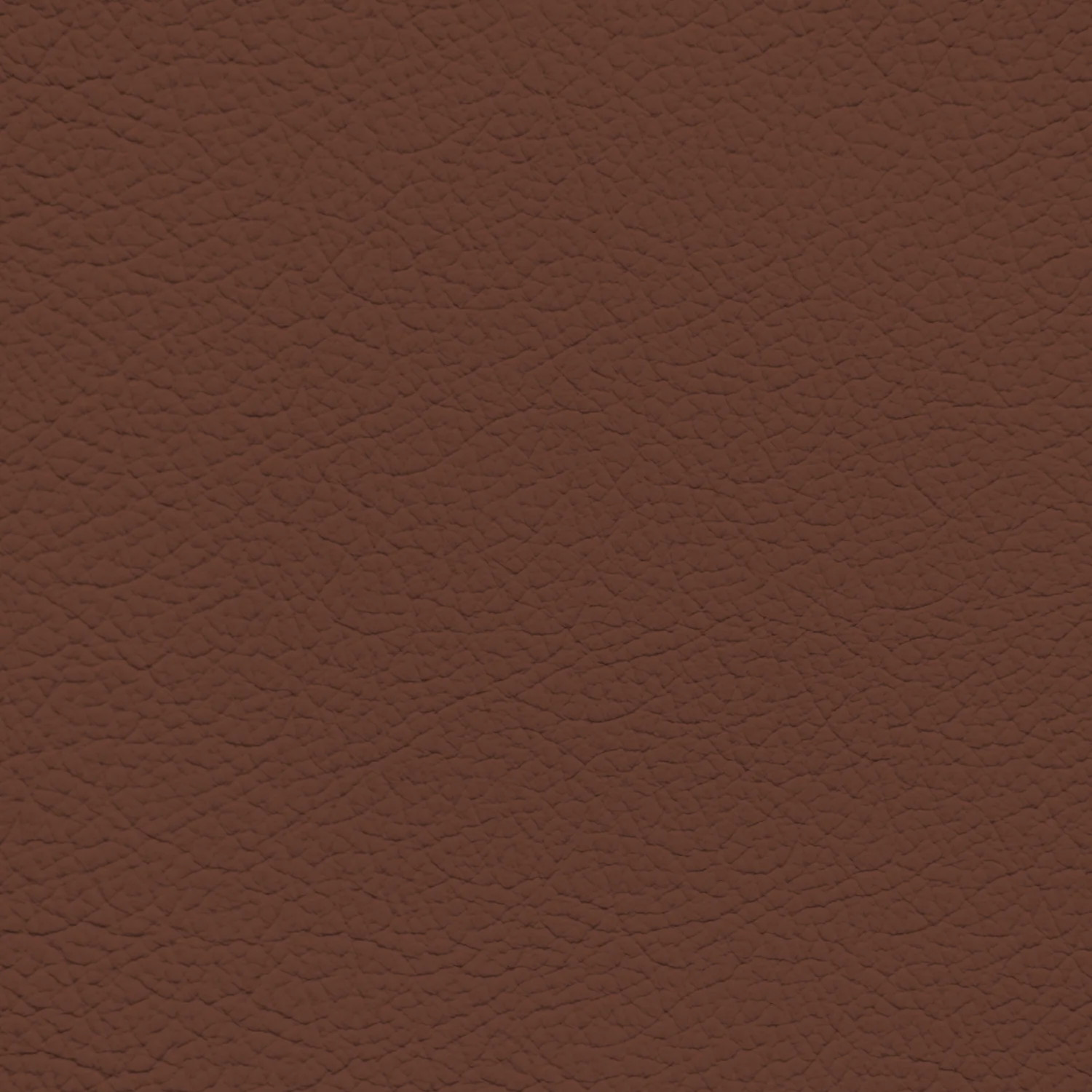 Ford/Lincoln/Mercury King Ranch Red Leather Dye