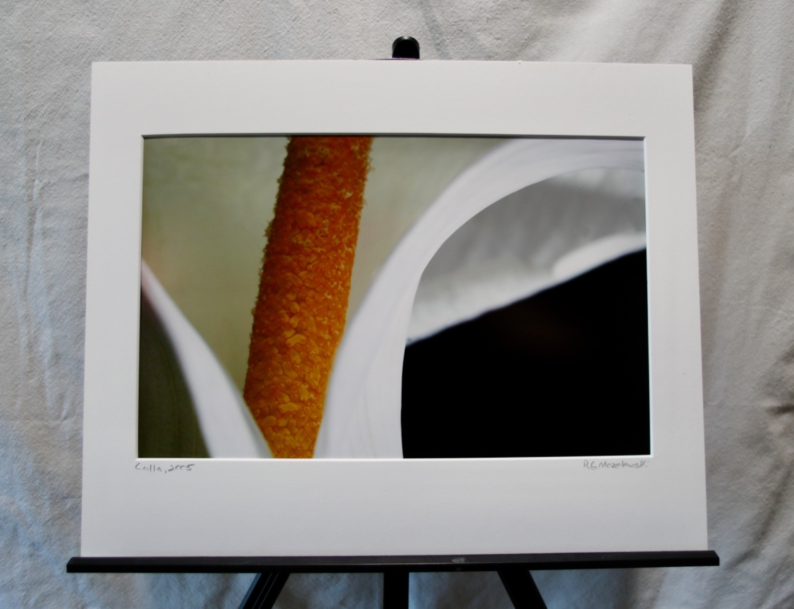 Original Photography Art Print \