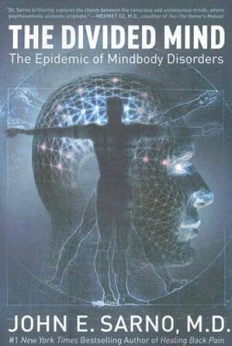 The Divided Mind: The Epidemic of Mindbody Disorders - Paperback - GOOD