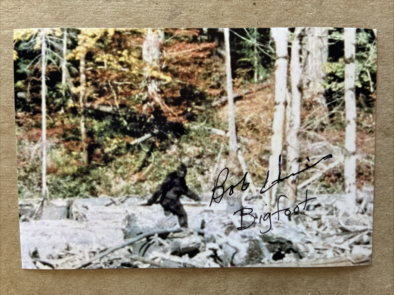 Bob Heironimus Signed 4x6 Bigfoot Photo 1967 Patterson Gimlin Actor Autograph