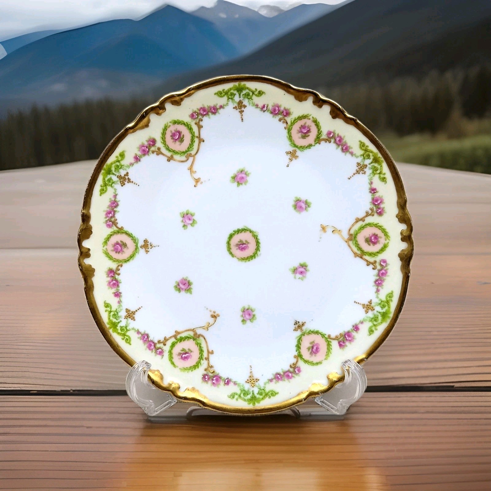 Antique Limoges France 8½\