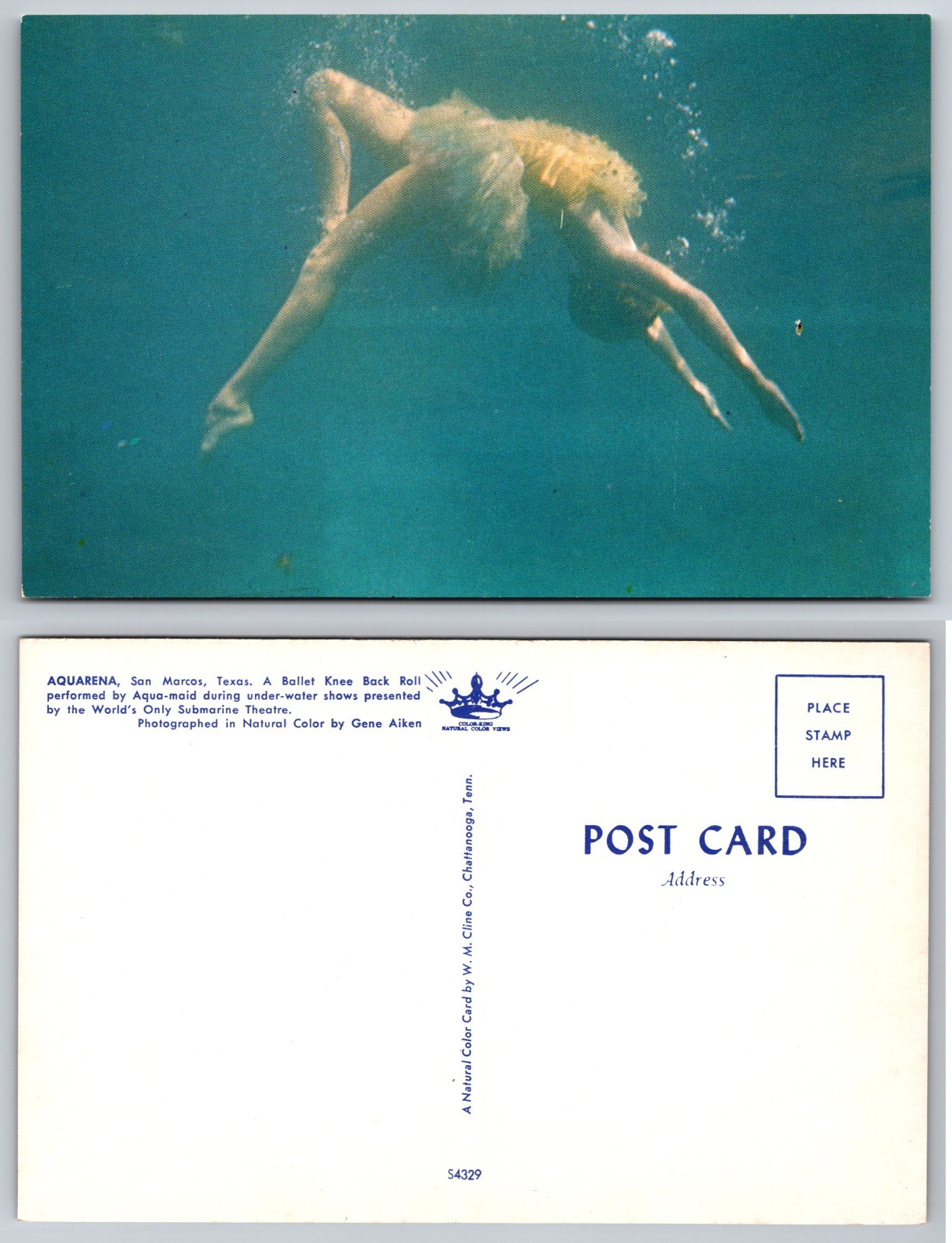 Aquarena San Marcos Texas Underwater Swimmer Postcard