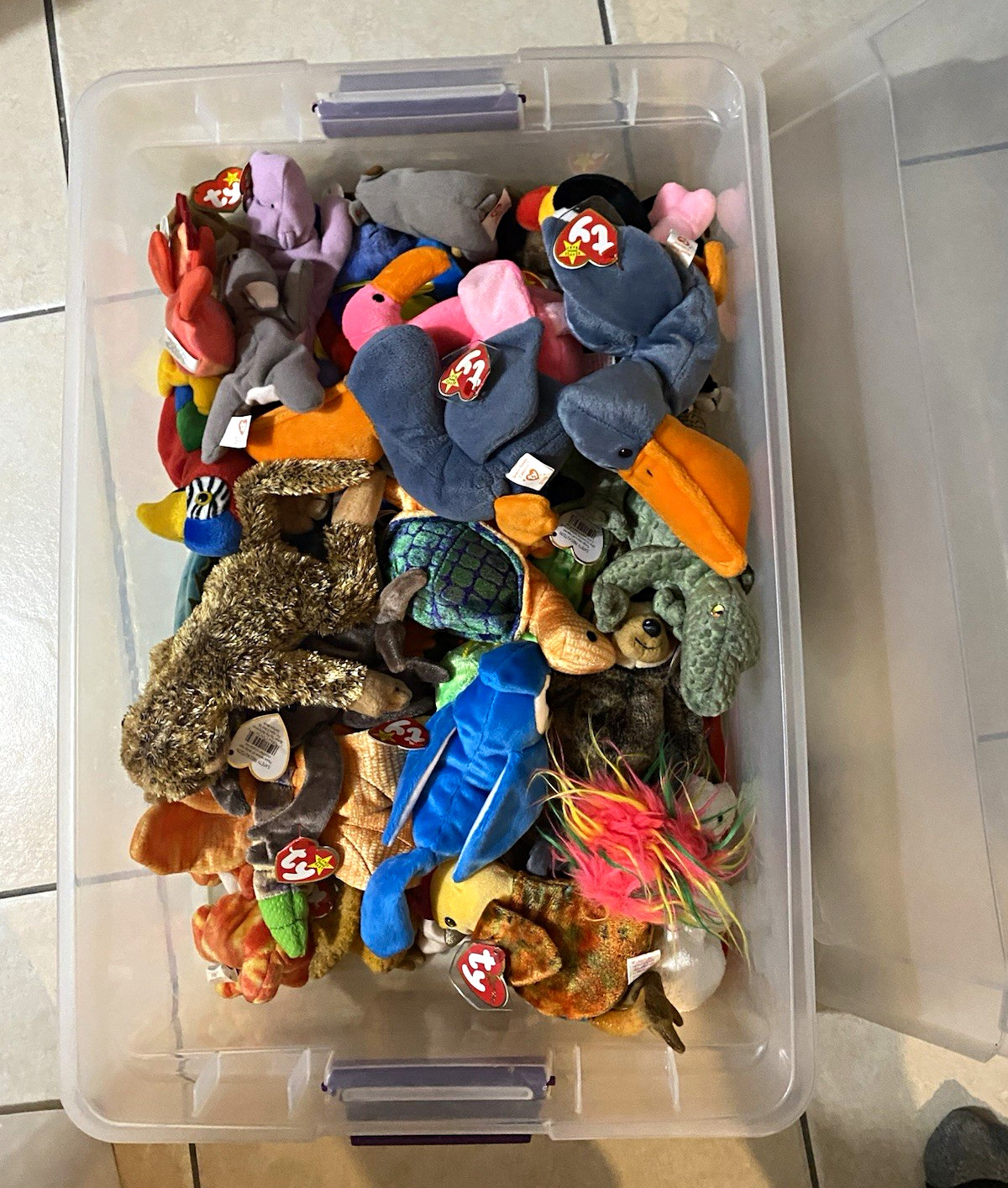 Ty Beanie Babies Plush Lot w/ Tags, McDonald's Teenie Beanies & Club Kit