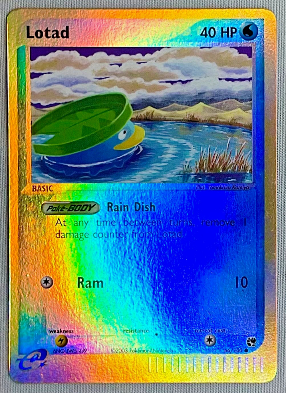 Pokémon Lotad #66/100 Reverse Holo e-Reader - 2003 EX Sandstorm - NM Condition Pokémon Lotad #66/100 Reverse Holo e-Reader - 2003 EX Sandstorm - NM Condition